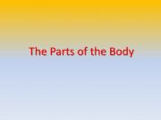 English powerpoint: parts of the body