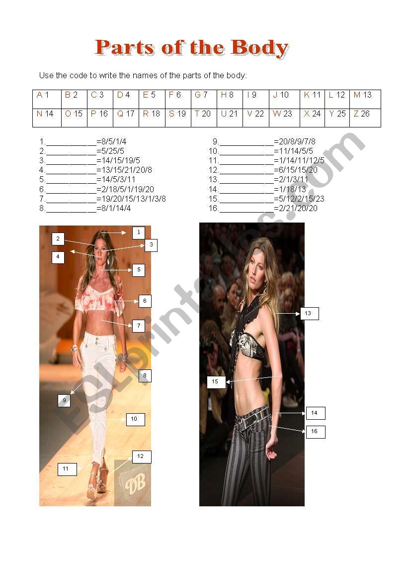 Gisele B Ndchens Parts Of The Body Esl Worksheet By Hannah Costa