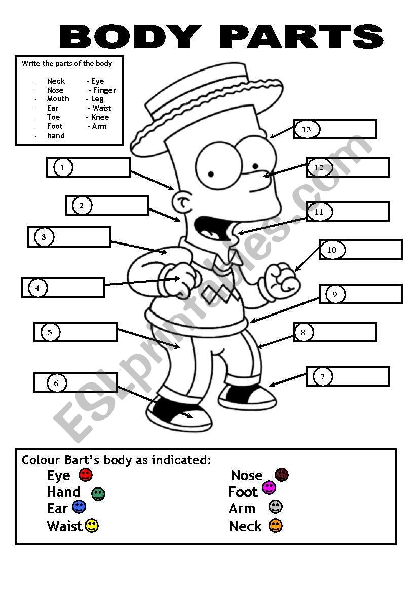 BODY PARTS ESL Worksheet By JUANBEGI