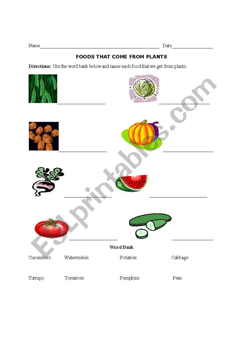 English worksheets: Foods We Get From Plants