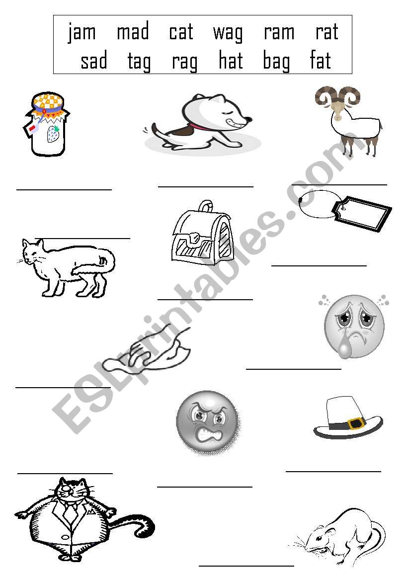 English Worksheets Three Letter Words