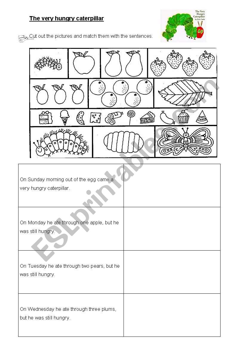 english-worksheets-the-very-hungry-caterpillar