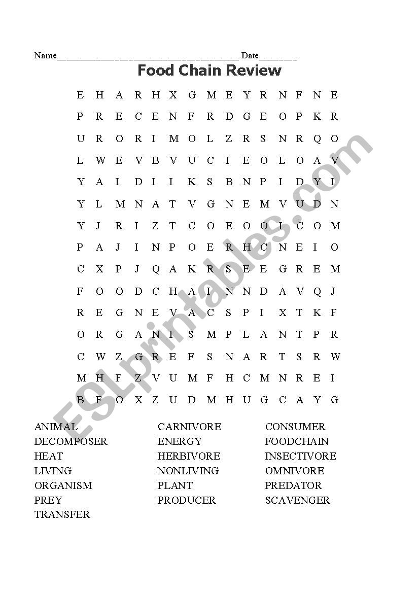 English Worksheets Food Chain Word Search