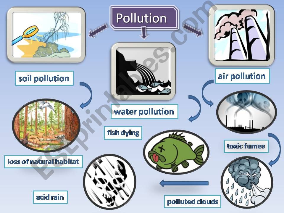 ESL - English PowerPoints: Pollution