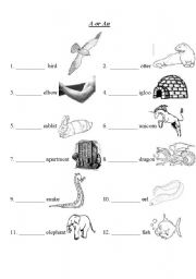 English Worksheet: A or An