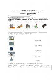 English Worksheet: SCIENCE THEME