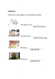 English worksheet: Adjectives Worksheet