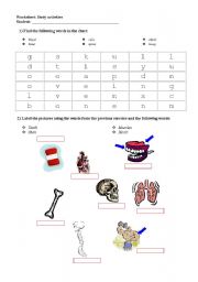 Body organs worksheets