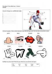 English Worksheet: The body - great review worksheet