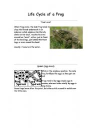 English Worksheet: Life Cycle of a Frog