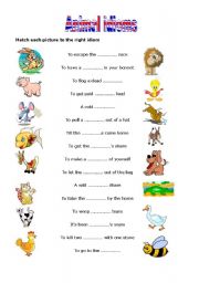 English Worksheet: Animal idoms 2