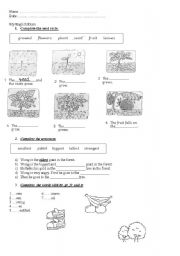 English Worksheet: superlative review