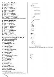 English worksheet: English Test 