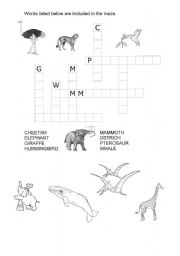 English worksheet: Animals of today and the past