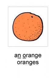 English Worksheet: A4 an orange/ oranges