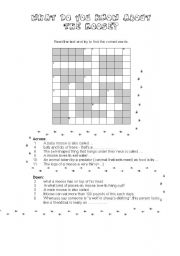 THE MOOSE (fun lesson) (3/6) CROSSWORD for INFORMATION ESL