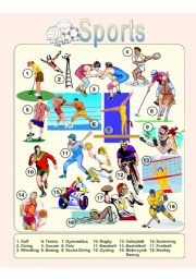 Sports - Picture Dictionary