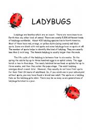 Ladybug comprehension and quiz