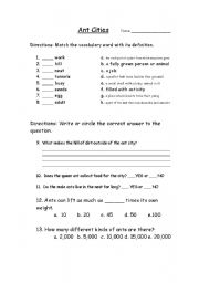 English Worksheet: Ant Cities 