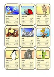 Animal Card Game (3)