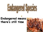 Ppt On Endangered Species