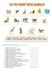 DO YOU KNOW THESE ANIMALS?