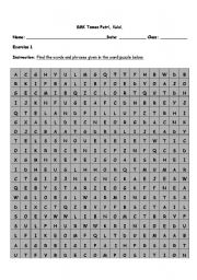 English worksheet: word puzzle on environment.