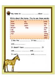 write a small paragraph about the horse