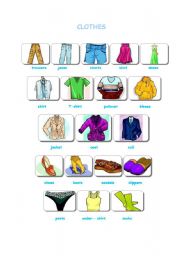clothes - ESL worksheet by gosia_1987