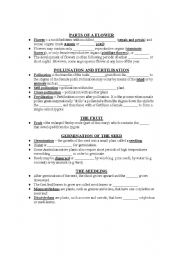 English Worksheet: flower reproduction