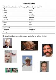 English Worksheet: describing faces