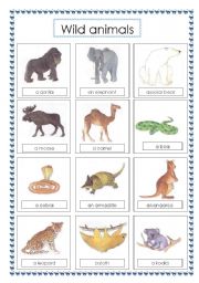 English Worksheet: voc wild animals (2)