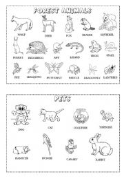 English Worksheet: Animal mini-dictionary (B&W) 2/3
