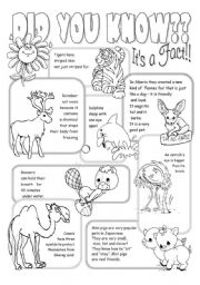 Interesting Facts About Animals