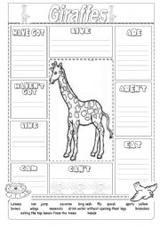 Animal description giraffe