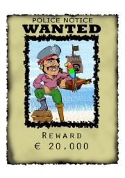 Wanted Pirate