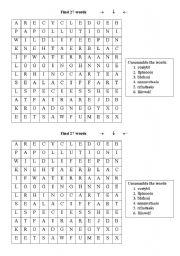 English Worksheet: Find 27 words