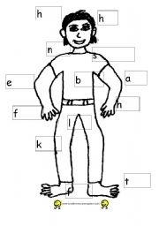 English Worksheet: body parts