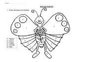 English Worksheet: Bella the butterfly