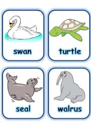  FLASHCARD SET 5- SEA ANIMALS AND CREATURES - PART 1 OF 3 (30.07.2008)