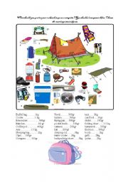 camping vocabulary, speaking activity, reaching a consensus.