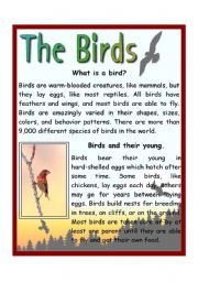 The Birds - ESL worksheet by andy1988