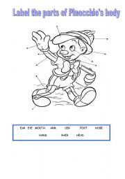 English Worksheet: Pinocchios body