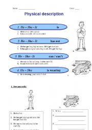 English Worksheet: How to describe an animal / a person