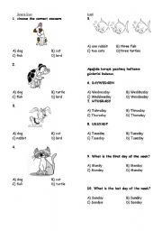 English worksheet: Essay