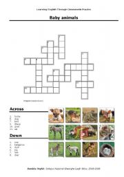 English Worksheet: Baby Animals Crosswords Puzzle