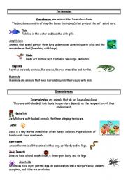 English Worksheet: vertebrates / invertebrates