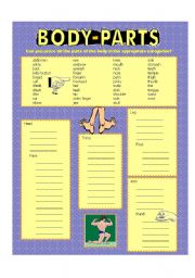 English Worksheet: Body parts (color)