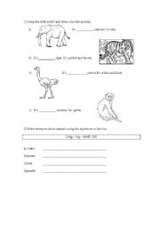 English worksheet: a/ an , adjectives