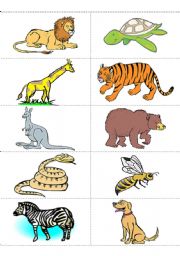 English Worksheet: Animals Flashcards